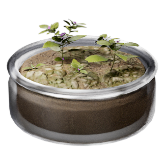 植物样本