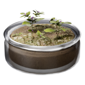 植物样本
